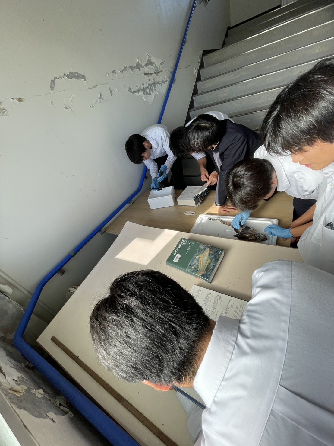 Image - 2025-12-01T173126.774